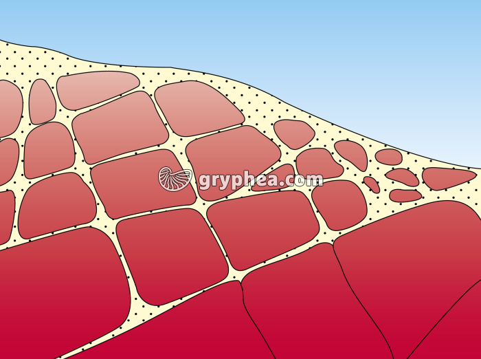 Formation d'un chaos granitique - étape 2 - gryphea.org